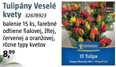 Tulipány Veselé kvety