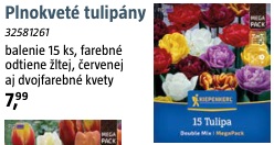 Tulipány Plnokveté