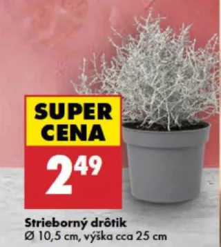 Strieborný drôtik