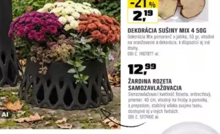 Žardina Rozeta samozavlažovacia