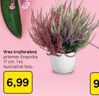 Vres trojfarebný