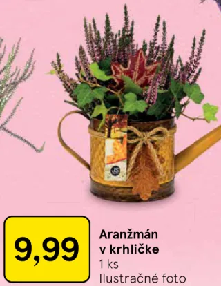 Aranžmán v krhličke