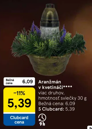 Aranžmán v kvetináči